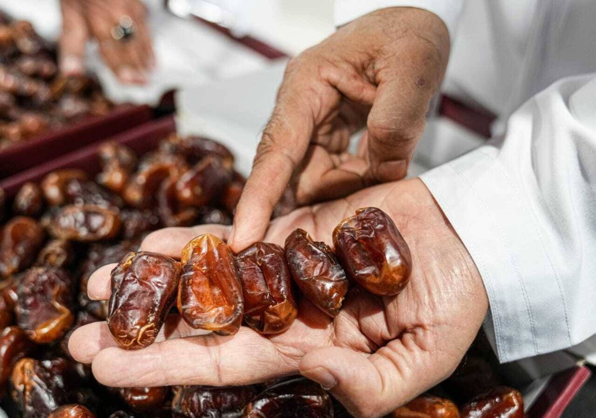 المهرجان يسلط الضوء على مدينة العين وإمكاناتها التراثية والاقتصادية والزراعية ويستمر حتى 8 يناير الجاري