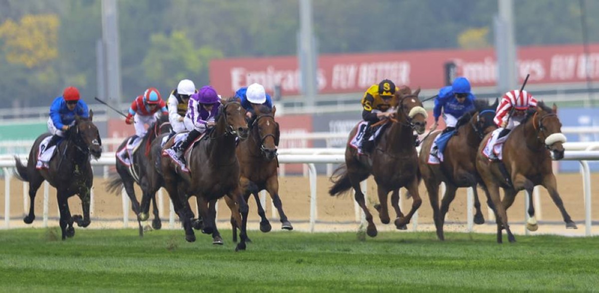 دبي تحتضن أقوى منافسات الخيل | أرشيفية