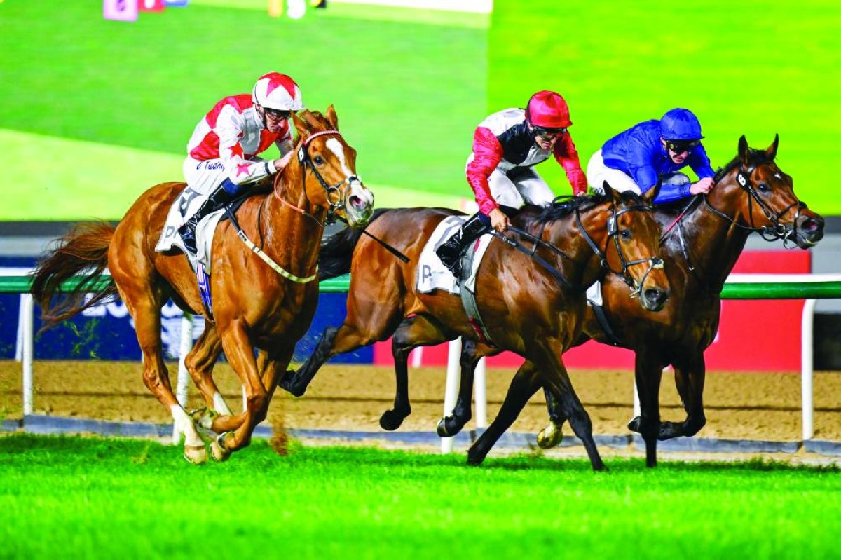 
«بوكر فيس» بطل الشوط الرئيس «زعبيل للميل» 