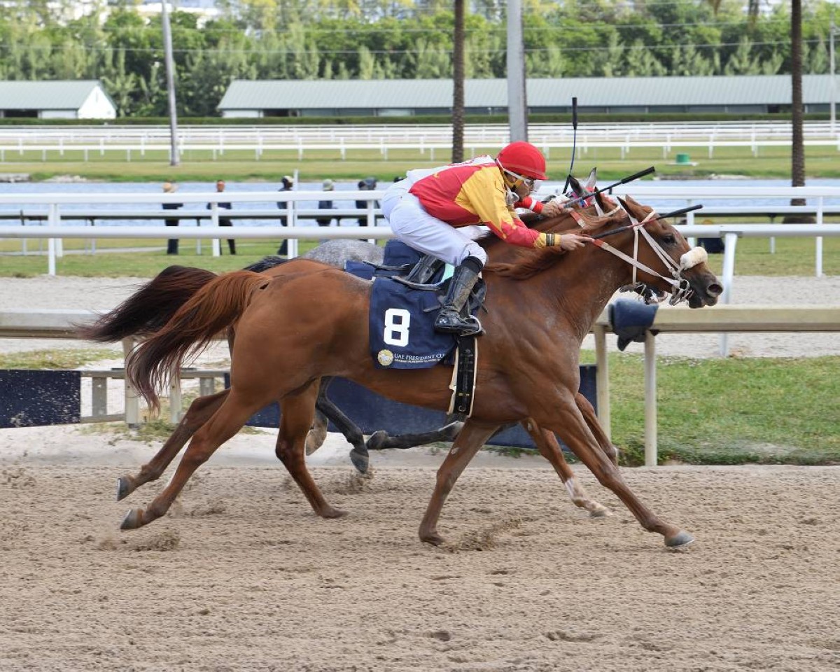 تنافس قوي في أغلى الكؤوس | أرشيفية