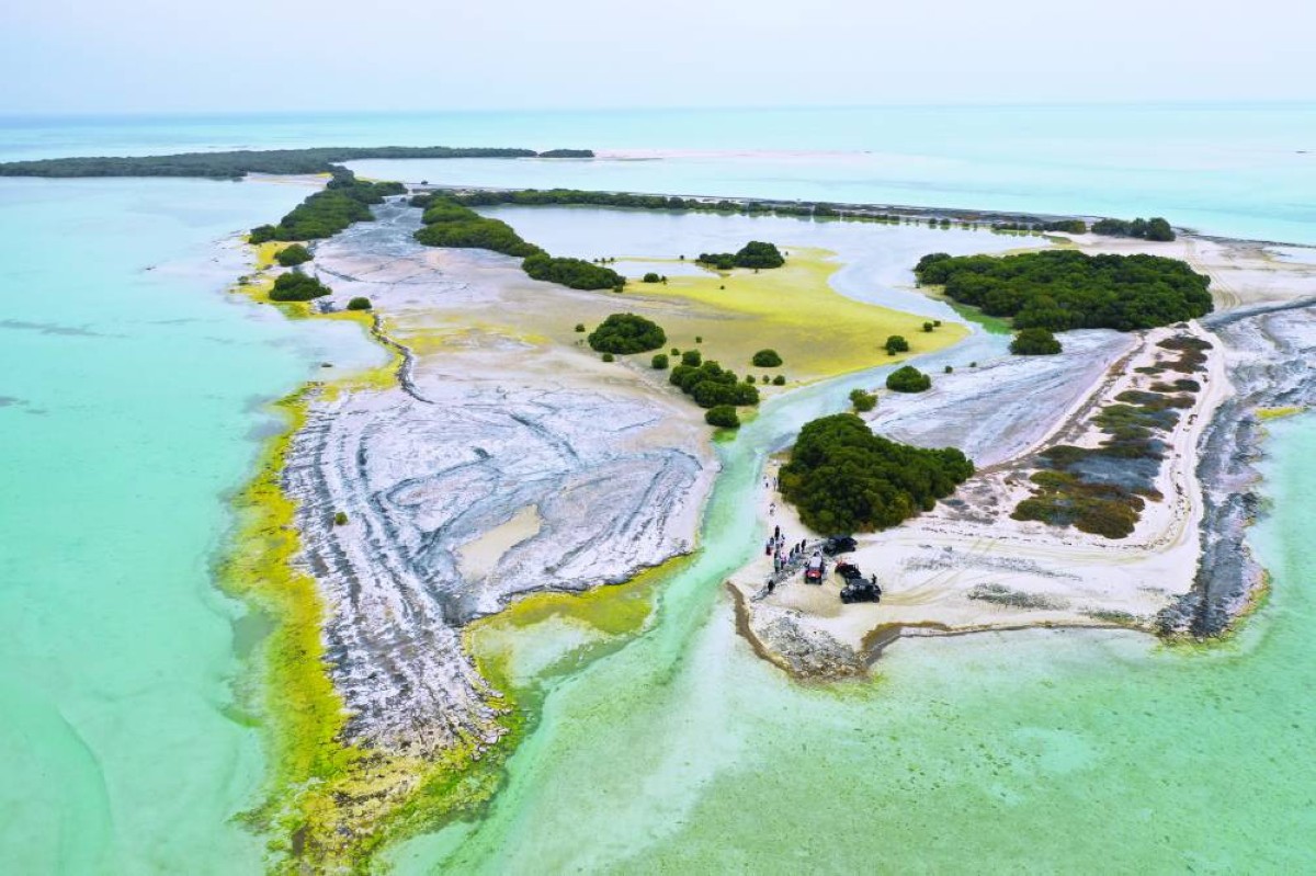 محمية_بوطينة_أبوظبي[1]