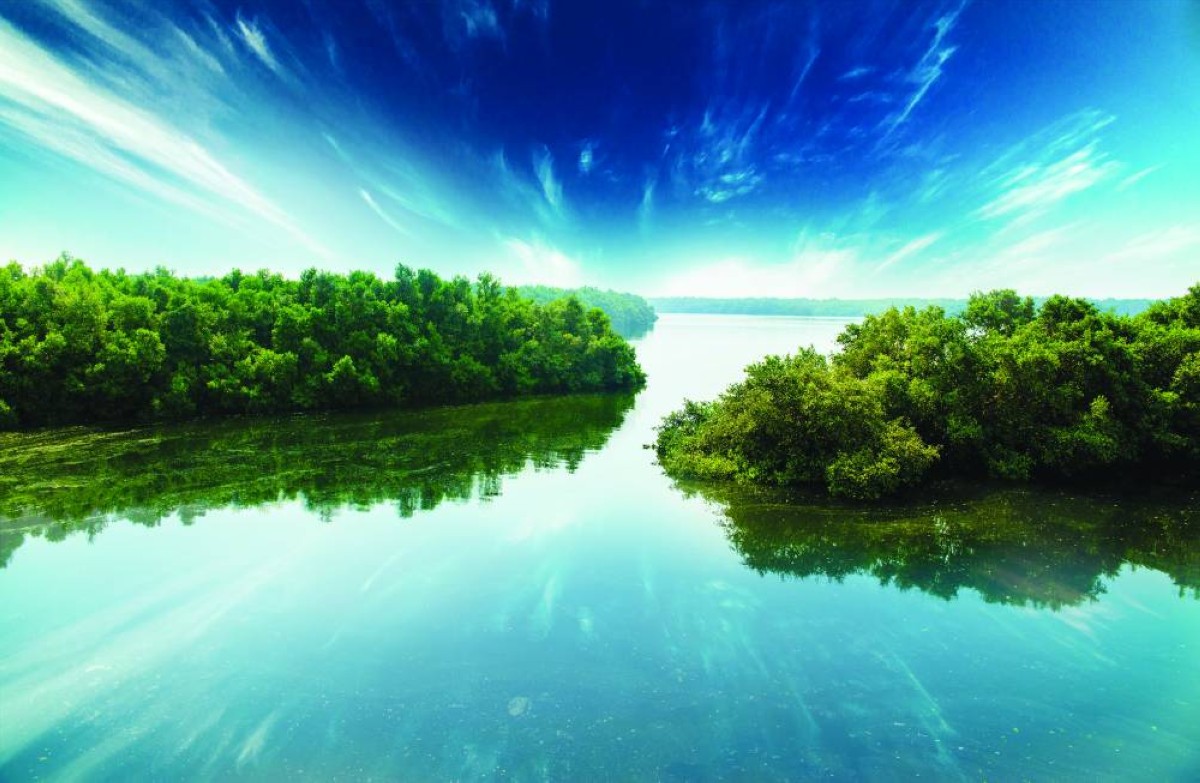 محمية_رأس_الخور_دبي[1]