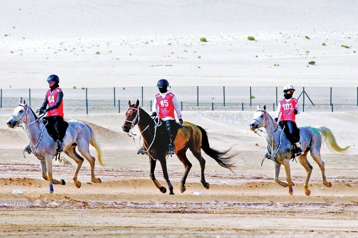من سباقات القدرة بقرية الإمارات العالمية