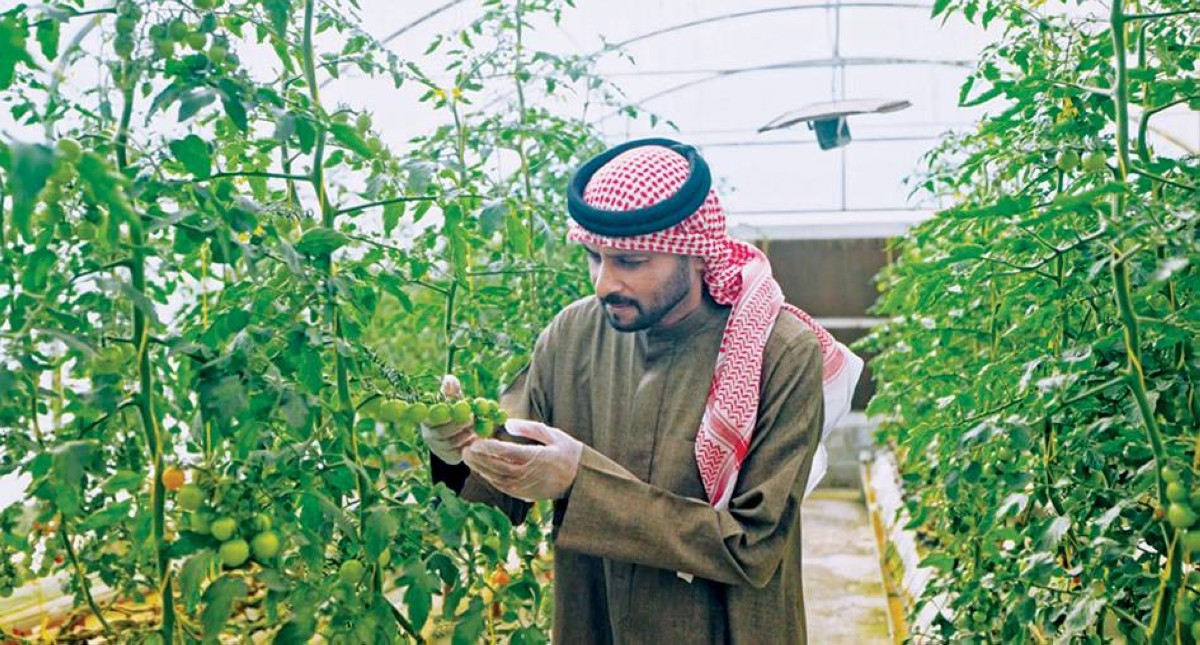 جهود متواصلة لتحسين مستوى الإنتاج