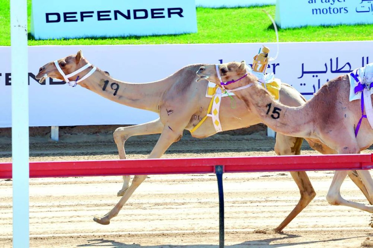 جانب من المنافسات