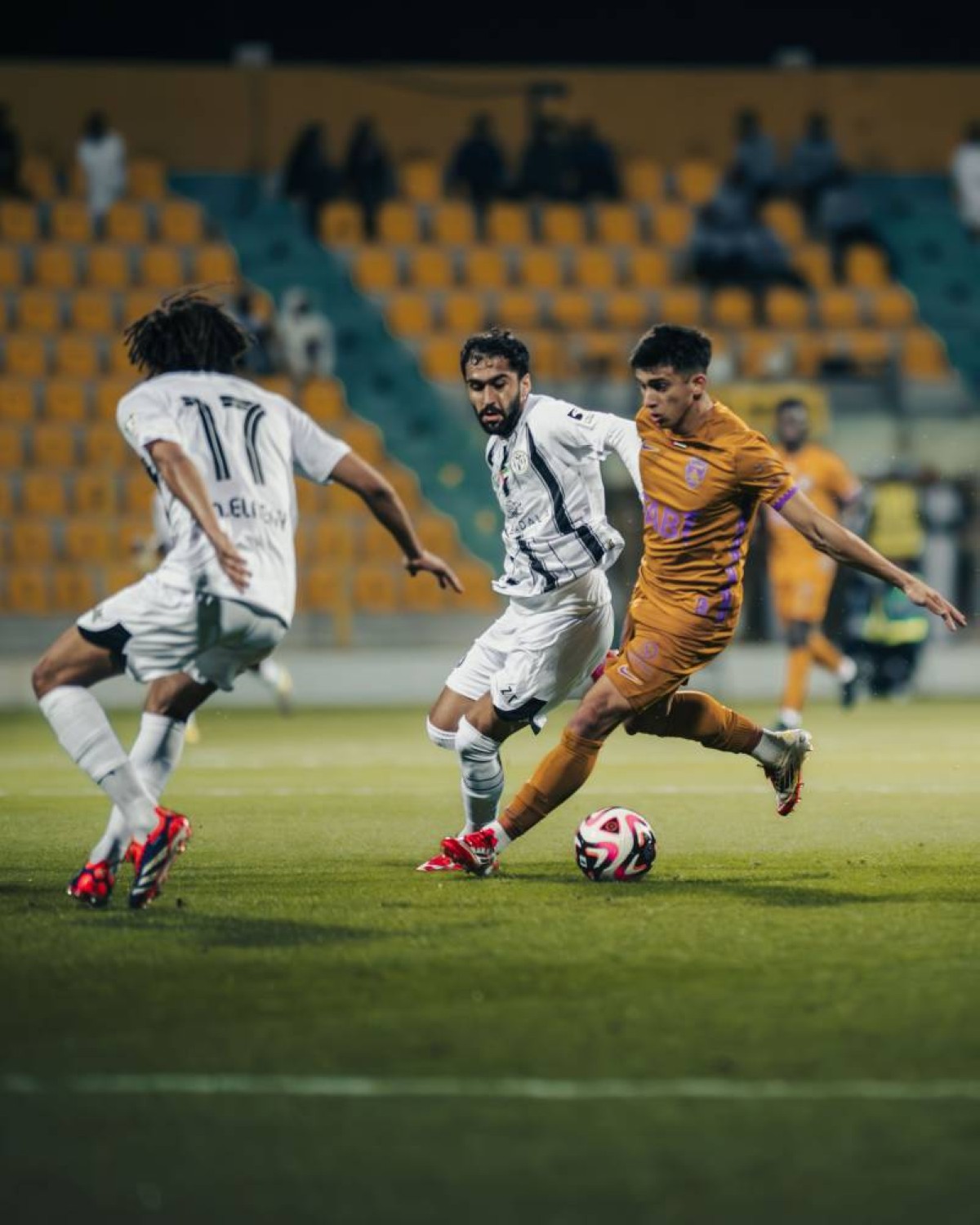 العين والجزيرة