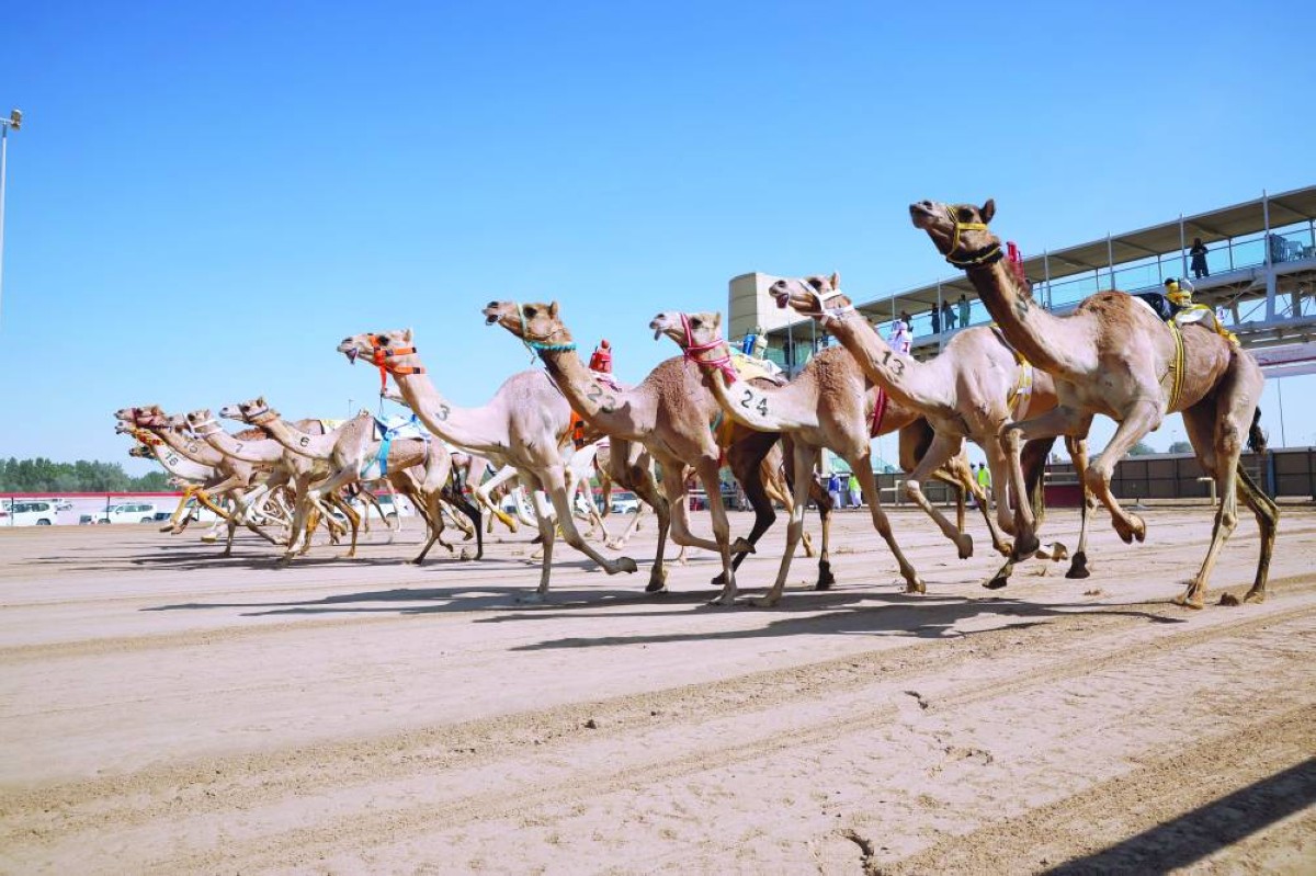 نخبة المطايا شاركت في المنافسات