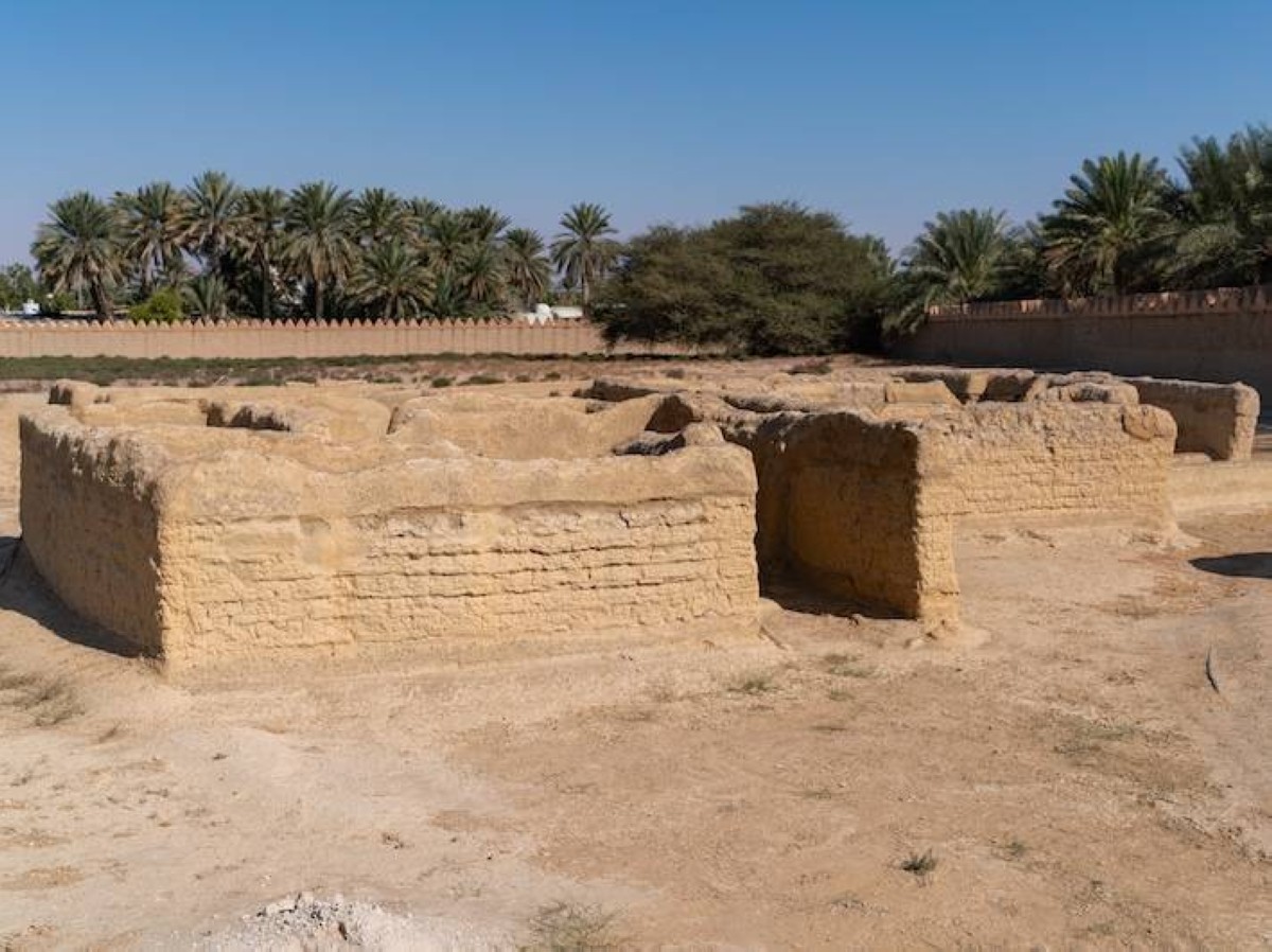 البرنامج يستمر شهراً ويقام بمدينة العين