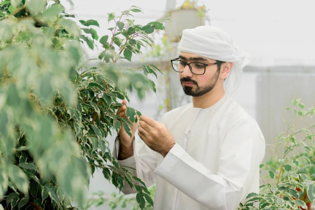 المجلس يعزز دمج الخبرات التقليدية مع المعرفة الحديثة لدعم الزراعة المستدامة |من الممصدر