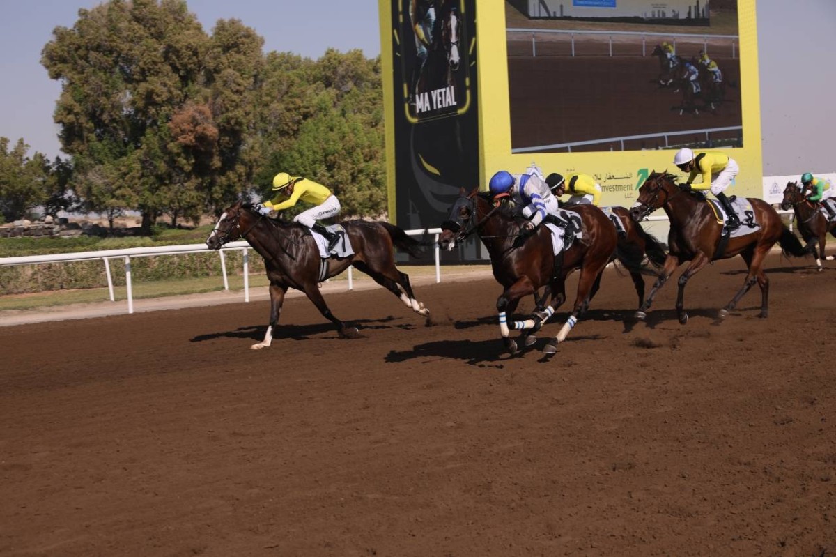 إثارة مرتقبة في أشواط أمسية مضمار جبل علي