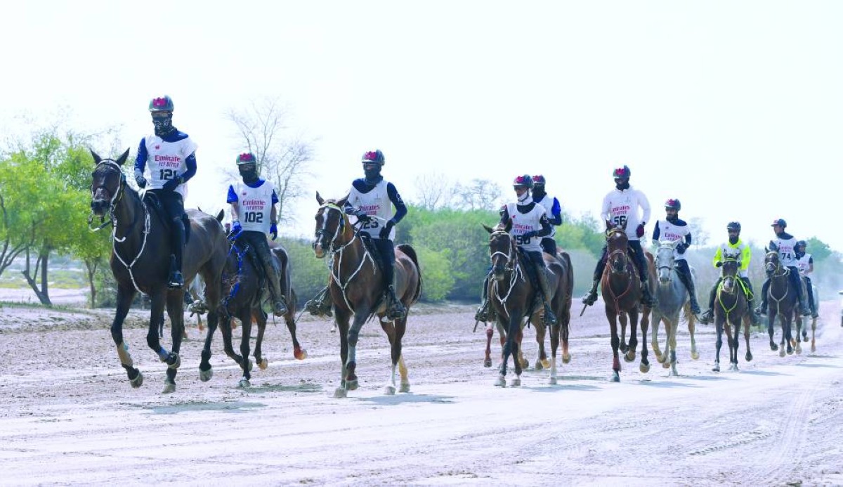 نخبة الفرسان يشاركون في مهرجان محمد بن راشد للقدرة