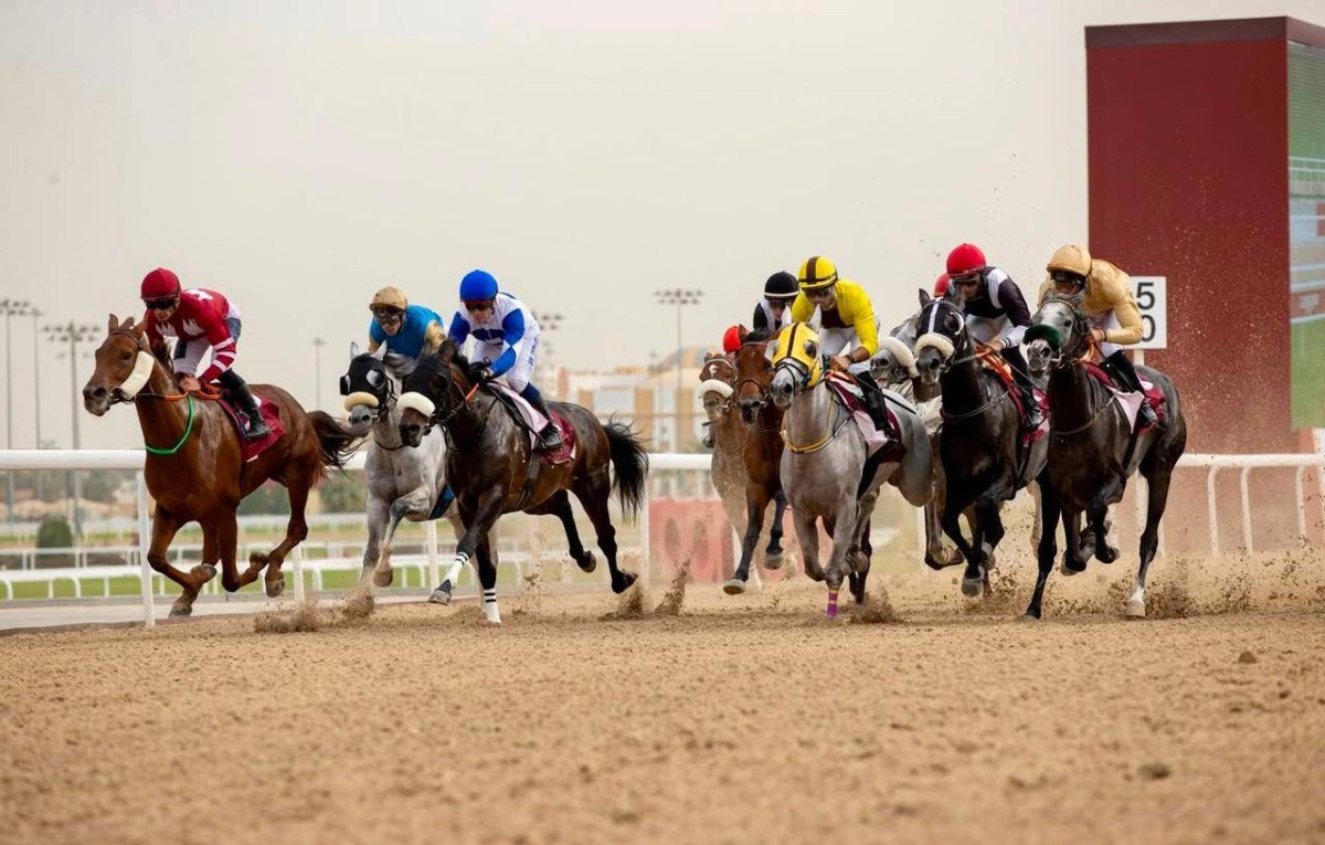 نقل وتأجيل ختام مهرجان سيف أمير قطر في الدوحة