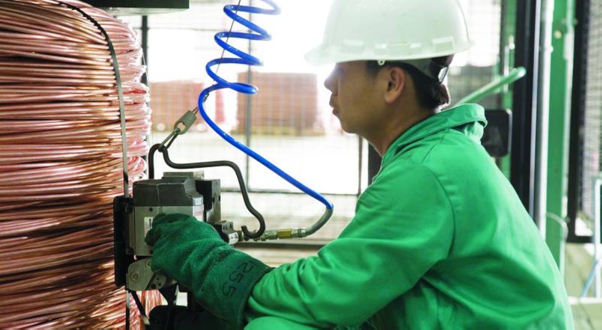 الشركة توسع حضورها في الأسواق العالمية