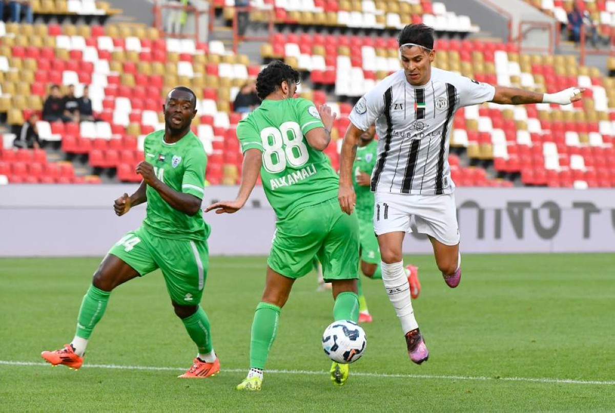 الجزيرة ودبا الحصن