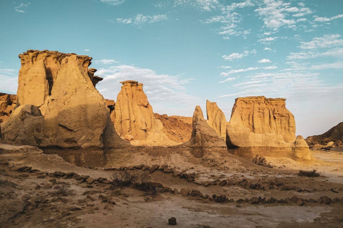 WhatsApp Image 2025-03-03 at 1.51.29 PM