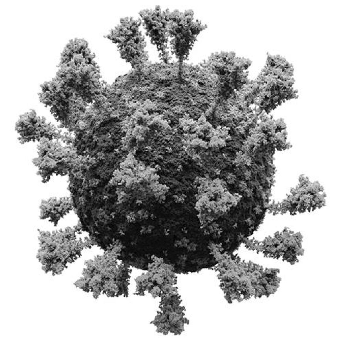 2020 منظمة الصحة العالمية تصنف انتشار فيروس كورونا «كوفيد 19» وباء عالمياً.
