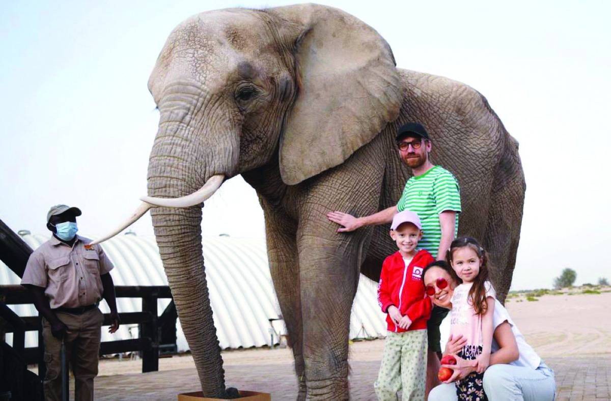 الطفلة الفنلندية أديلي شستوفسكاي وأسرتها خلال الجولة في دبي