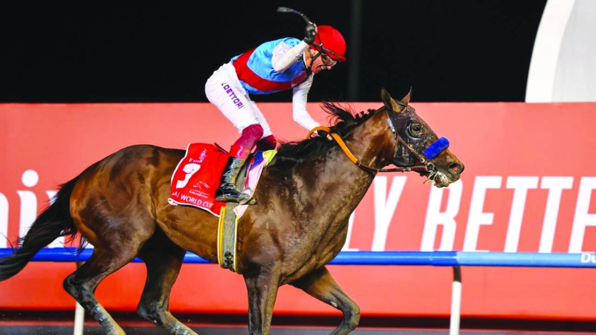 2022 كنتري غرامر