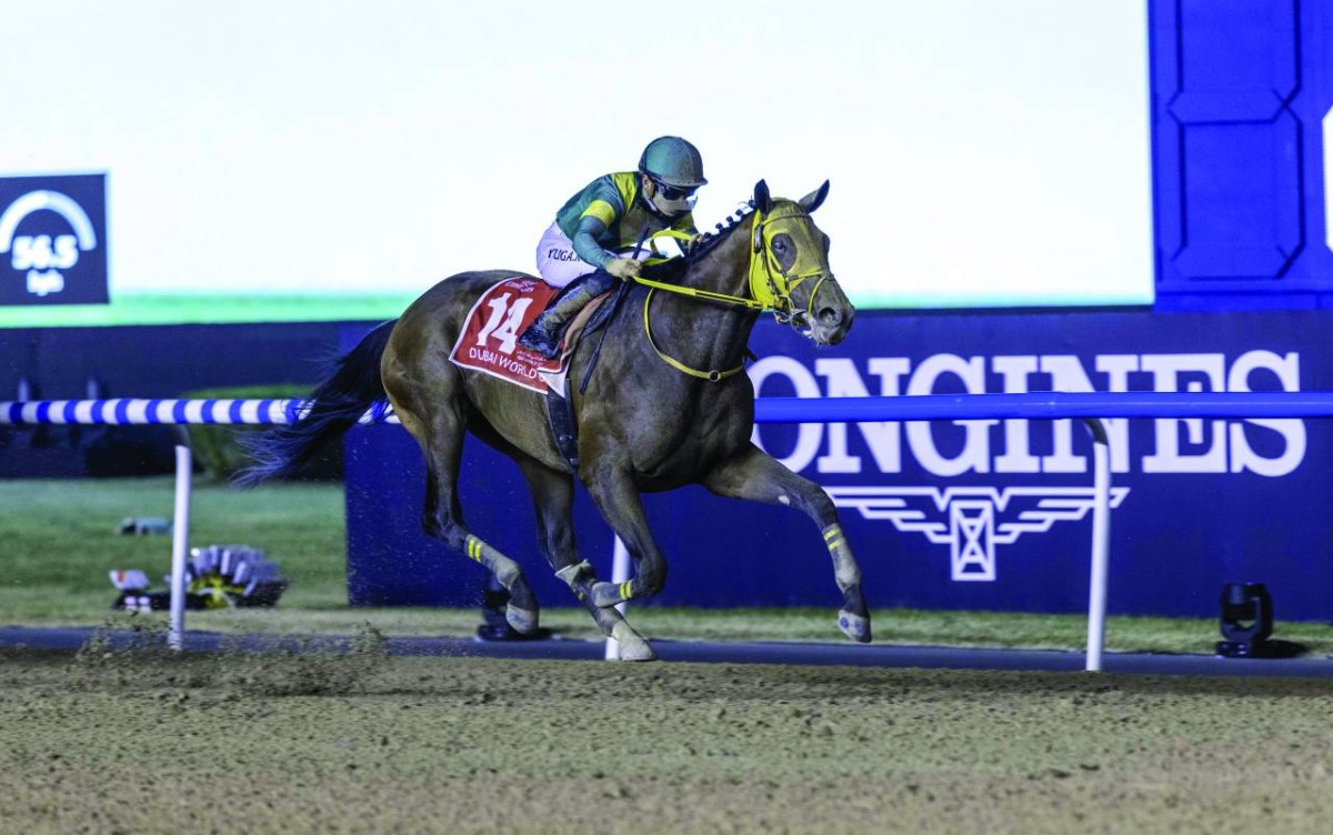 أوشبا تيسيرو 2023