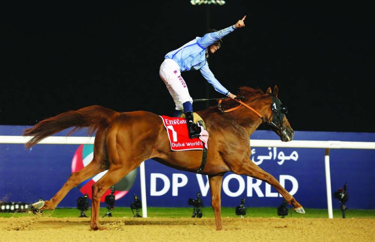 2015
برنس بيشوب