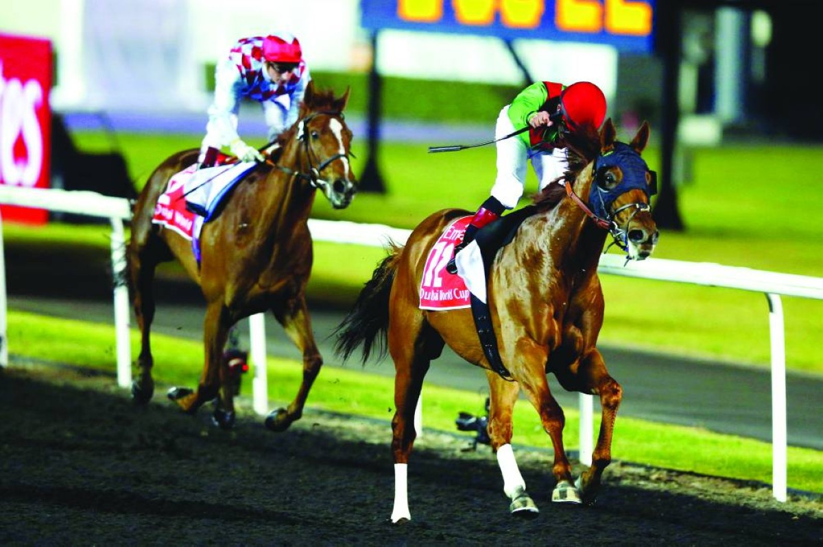 2013
أنيمال كنجدوم