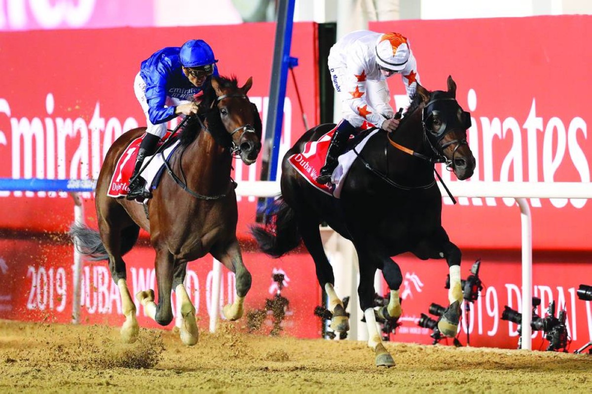 2019
ثندر سنو