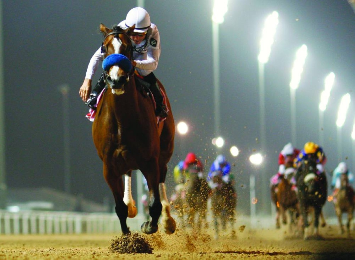 2009
ويل آرمد