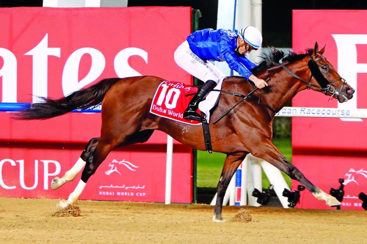 2018
ثندر سنو