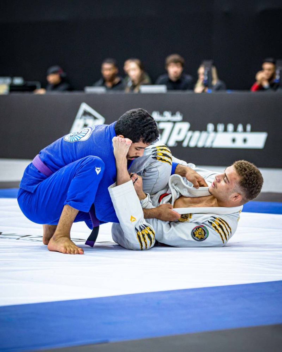 ختام ناجح لبطولة دبي الدولية لرابطة أبوظبي لمحترفي الجوجيتسو