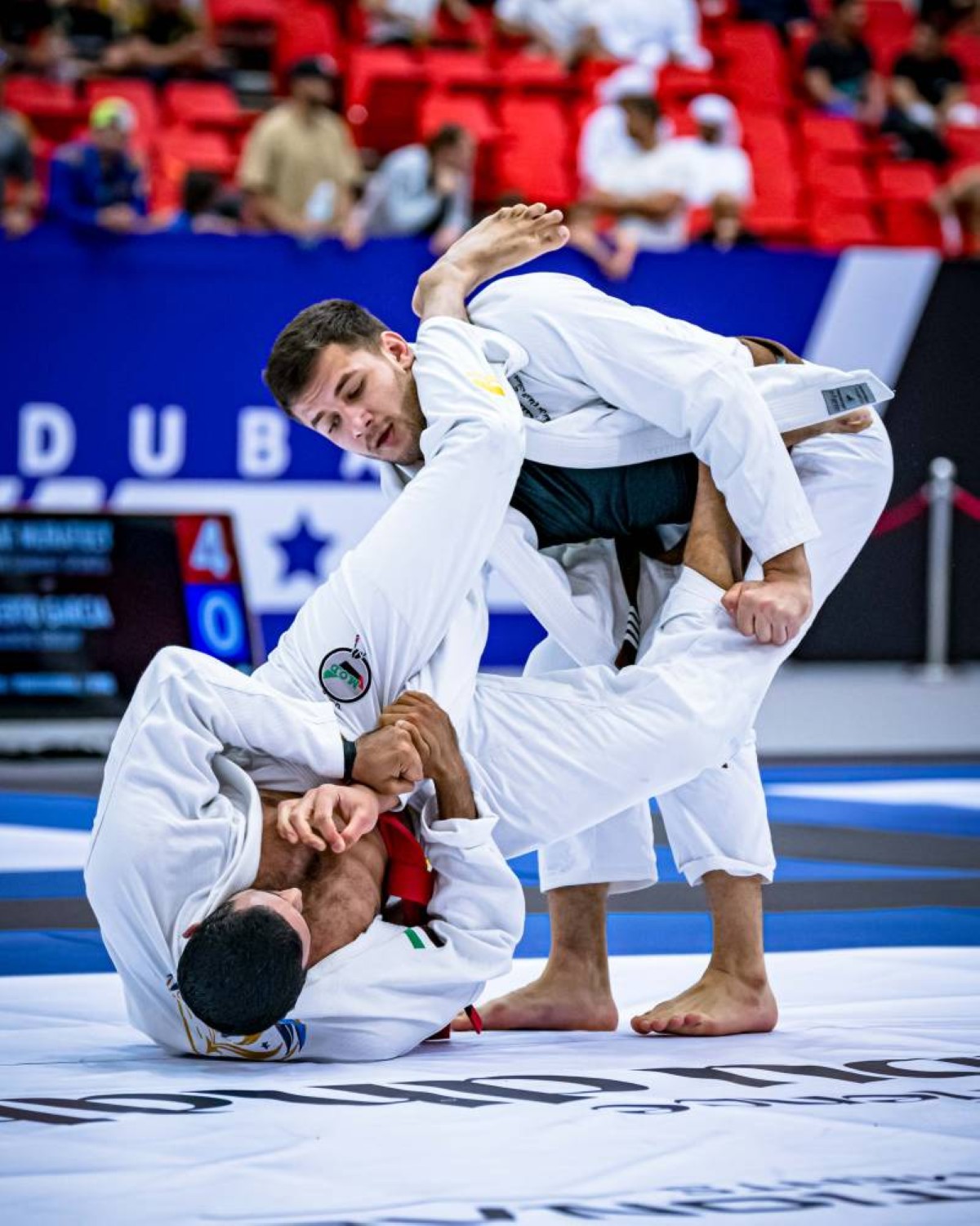 ختام ناجح لبطولة دبي الدولية لرابطة أبوظبي لمحترفي الجوجيتسو