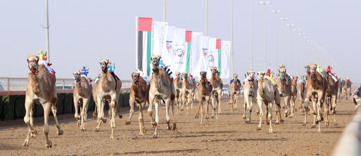 مهرجان المرموم.. ملحمة سنوية تجسد الأصالة الإماراتية
