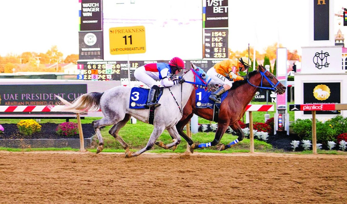 إثارة مرتقبة في السباق 