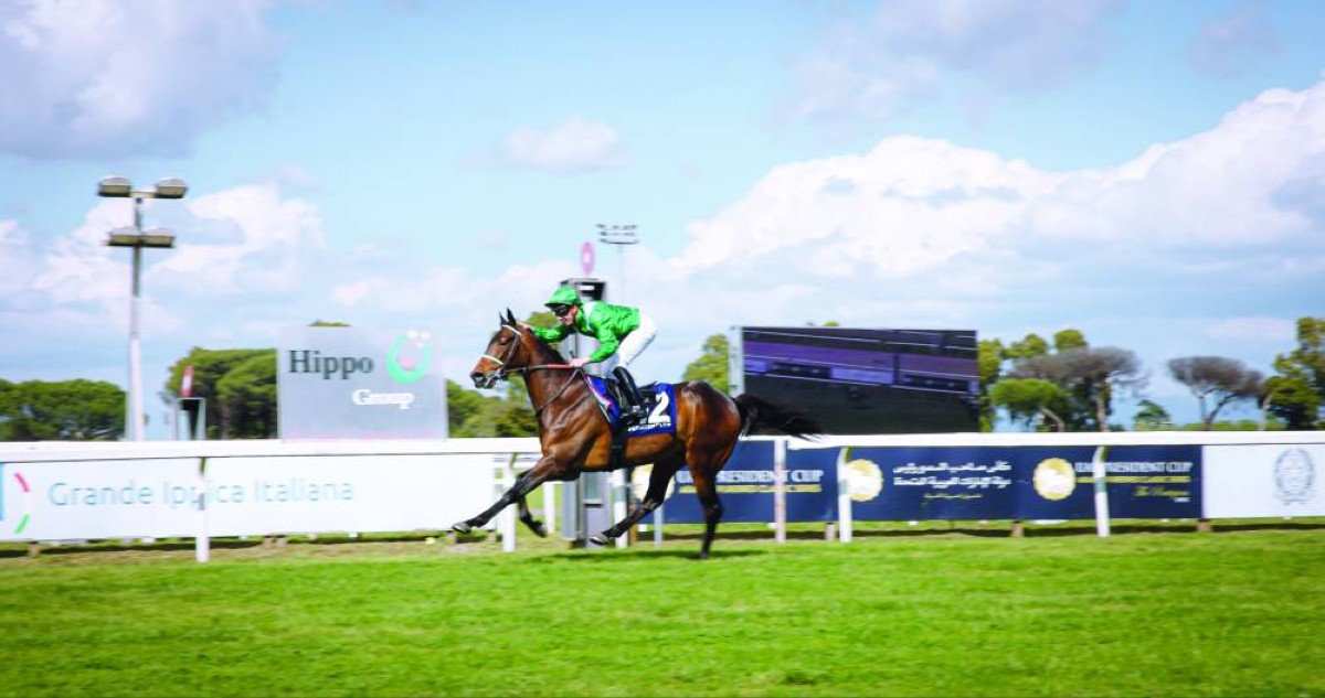 الجواد «إتش إم الشاهين» بطل الجولة الخامسة 