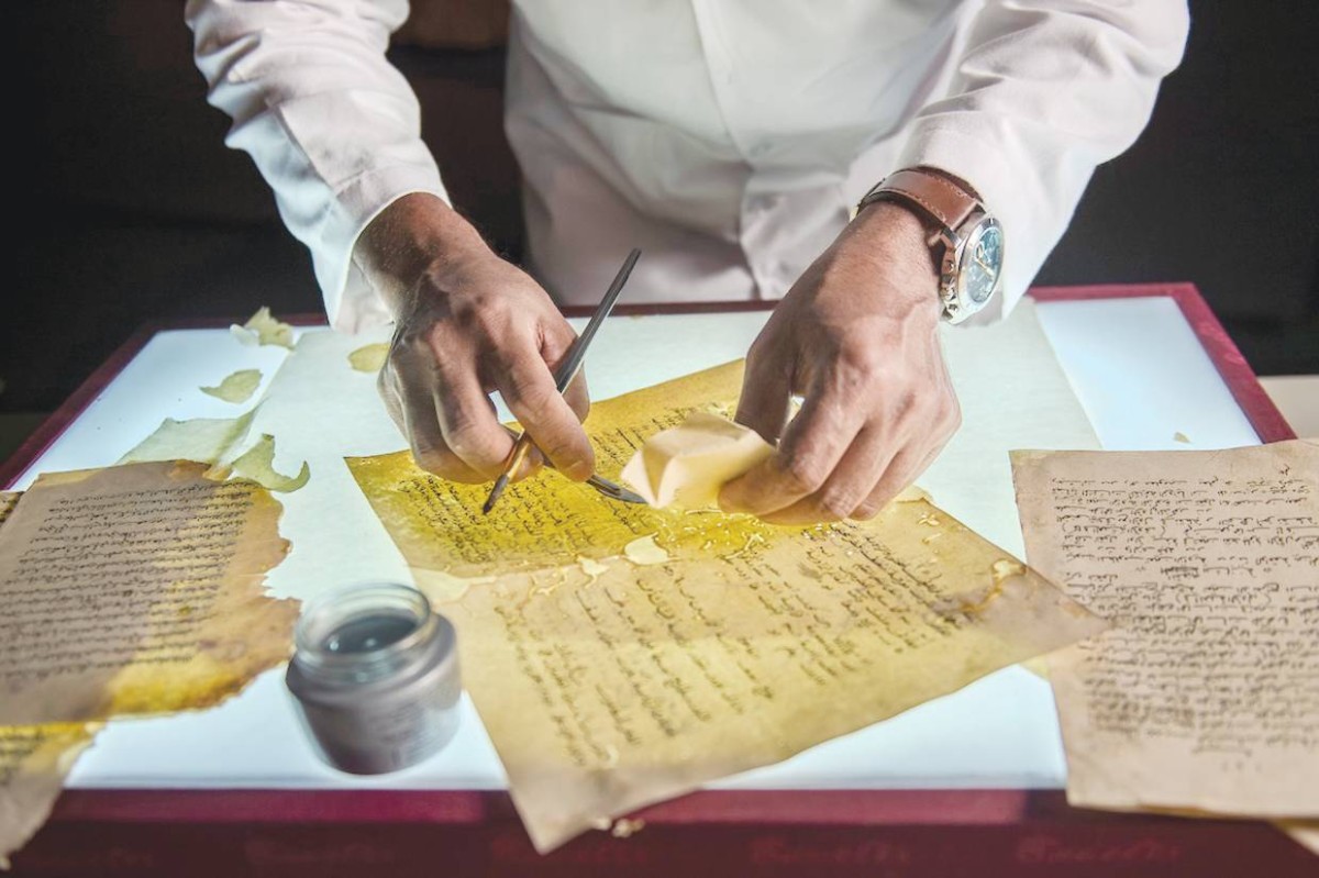 برنامج الفعالية توزع على 3 محطات رئيسية 


