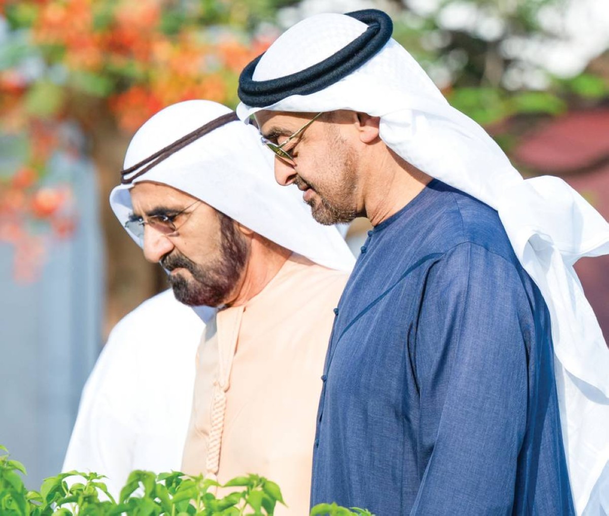  محمد بن زايد ومحمد بن راشد 