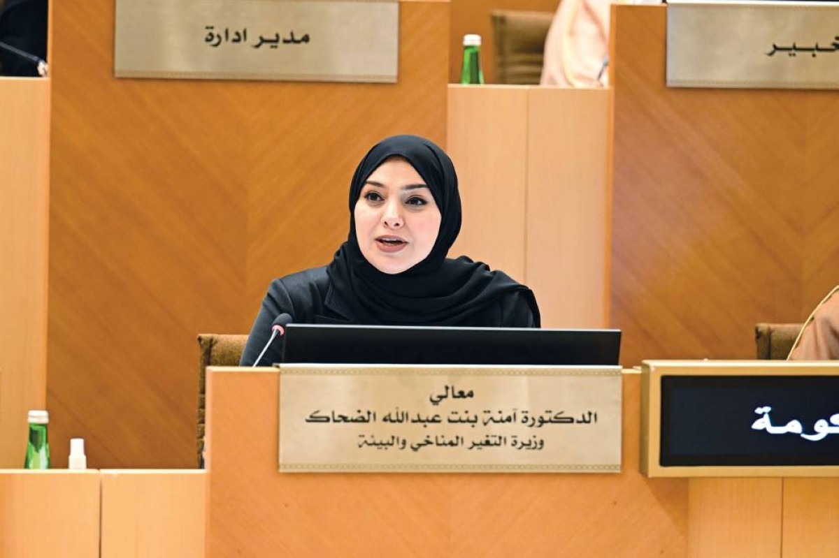 آمنة الضحاك متحدثة خلال الجلسة