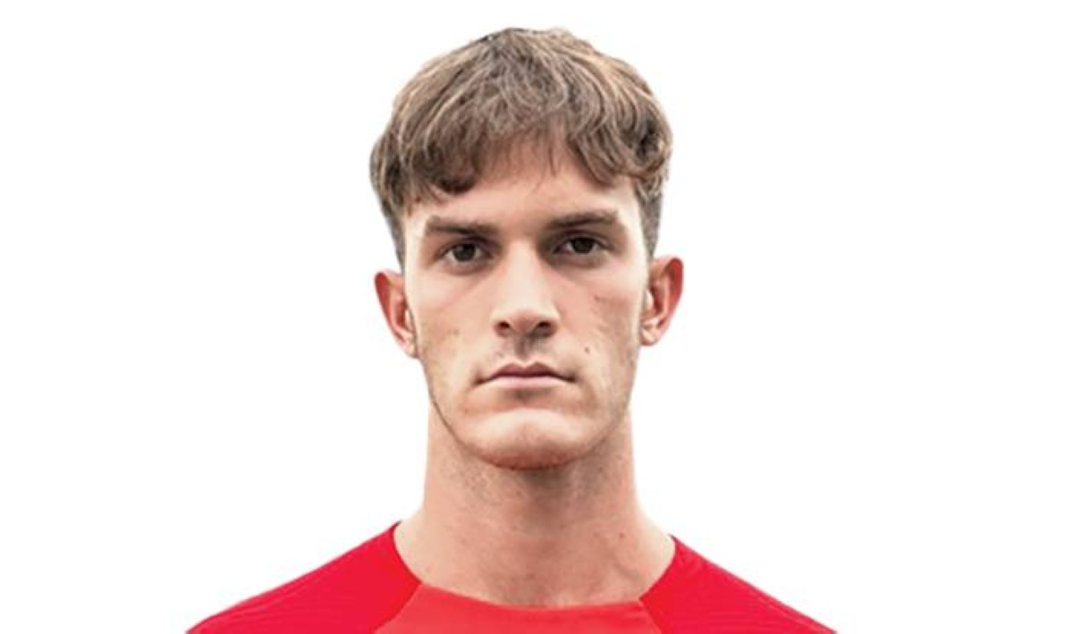 أليكس إنغلادا