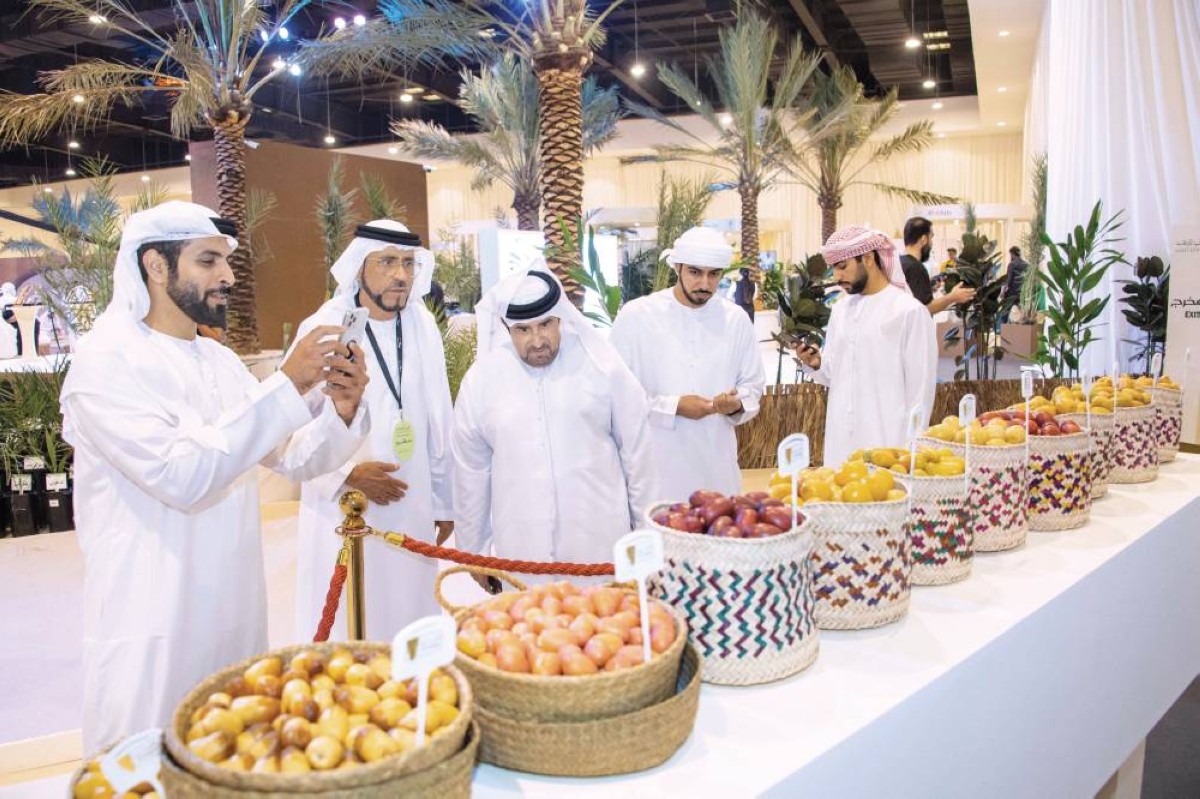 «دبي للرطب» يعرض أجود الأنواع