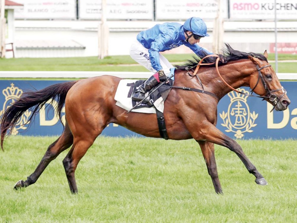 «تورنادو أليرت» بطلاً لسباق غروسر دالميار برايس في ميونيخ 