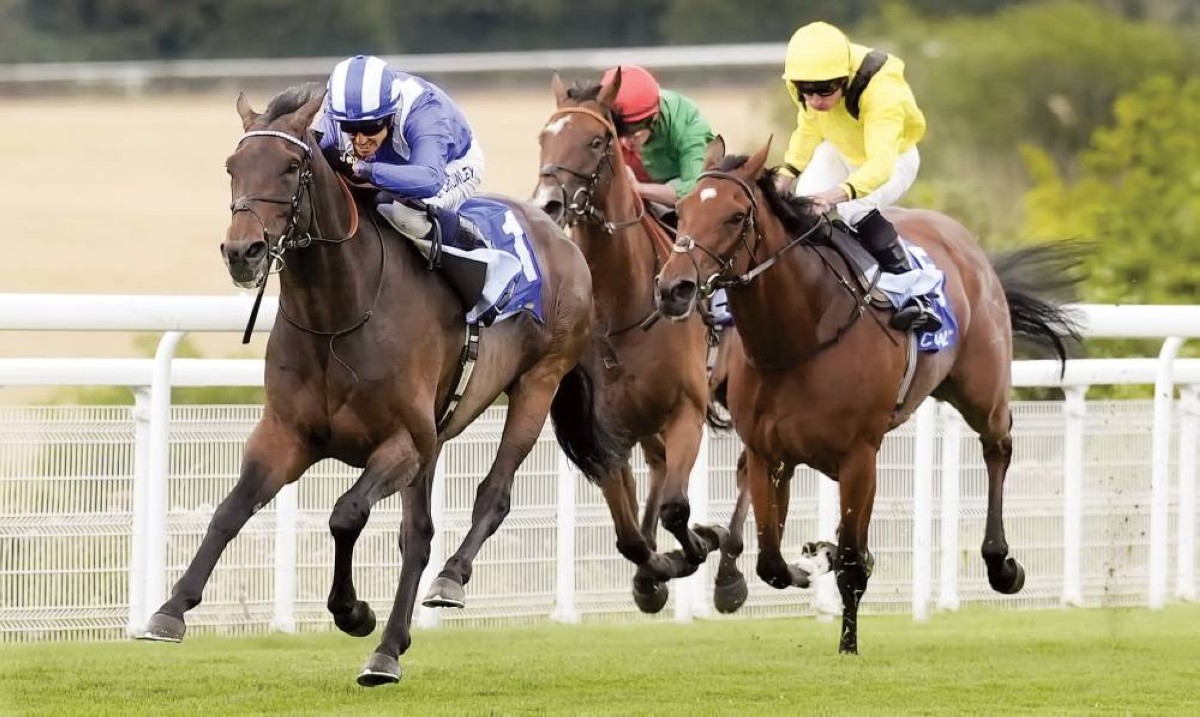 «العاصي» احتفظ باللقب بعد منافسة مع «ميدان»