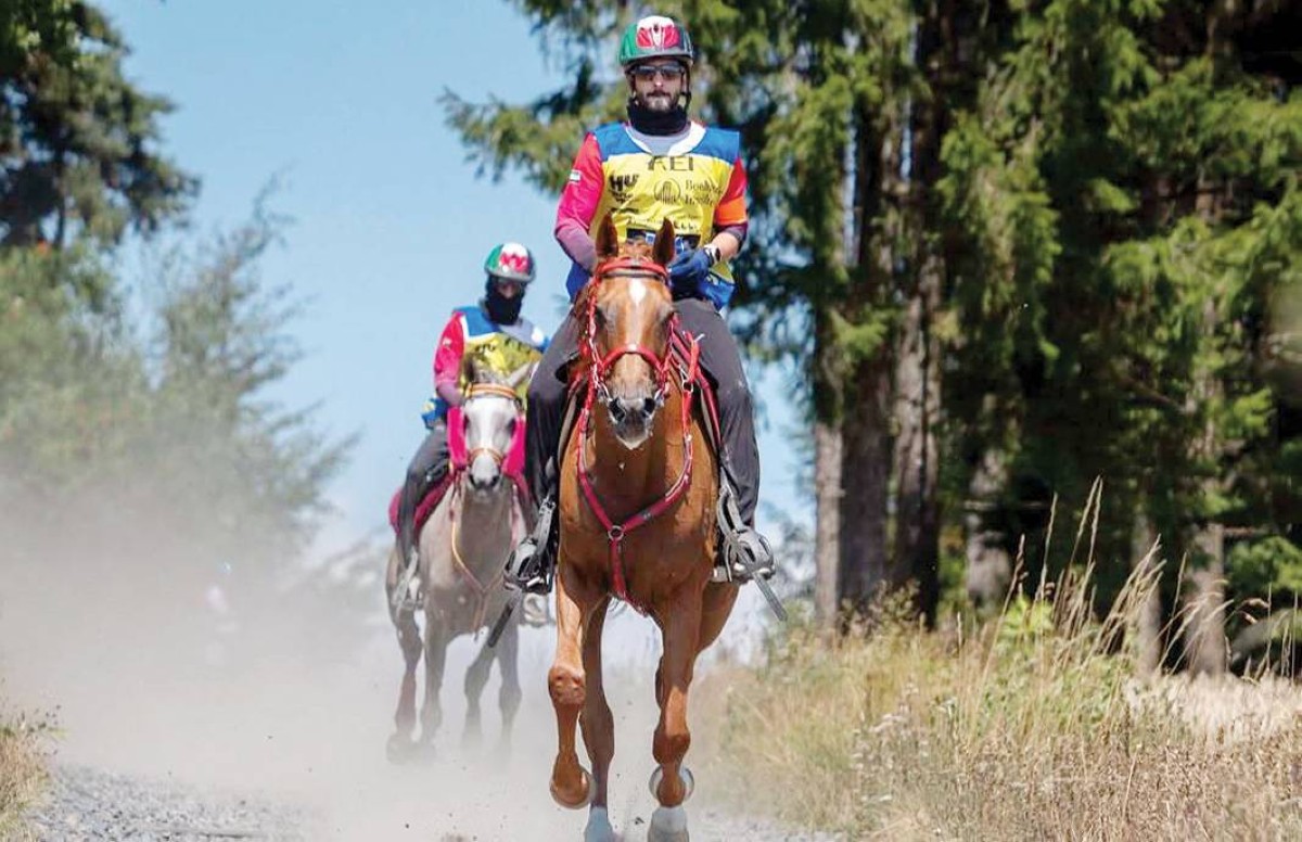  فرسان الإمارات يحتفظون بلقب مونديال القدرة 