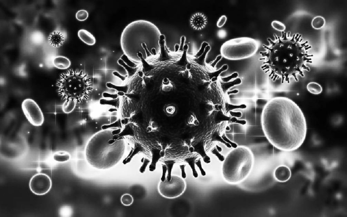 1988 -  الإعلان عن اكتشاف 17 نوعاً جديداً من فيروس نقص المناعة المكتسب (الإيدز).