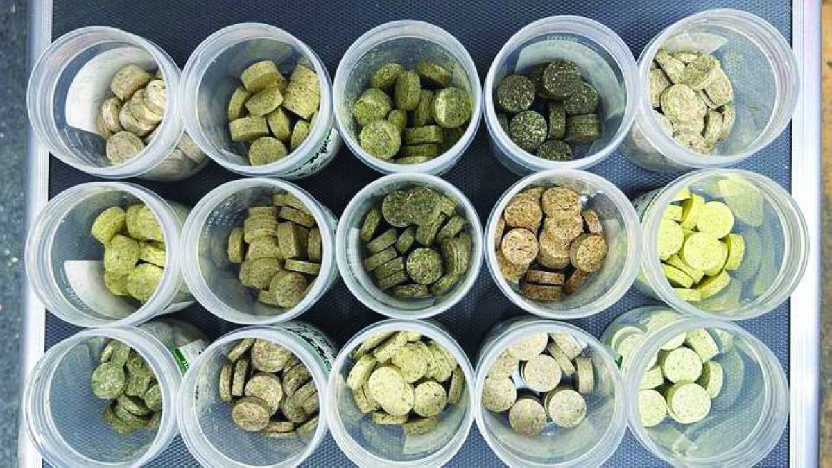 طاقة من أعشاب ضارة