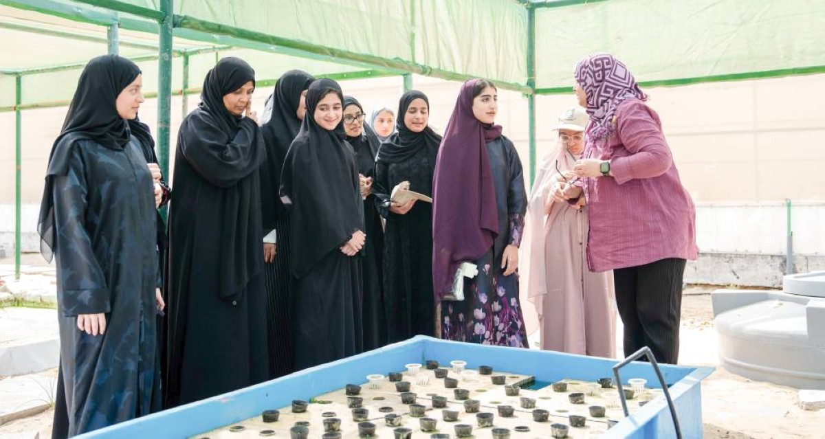      جانب من المشاركات في الفعاليات
