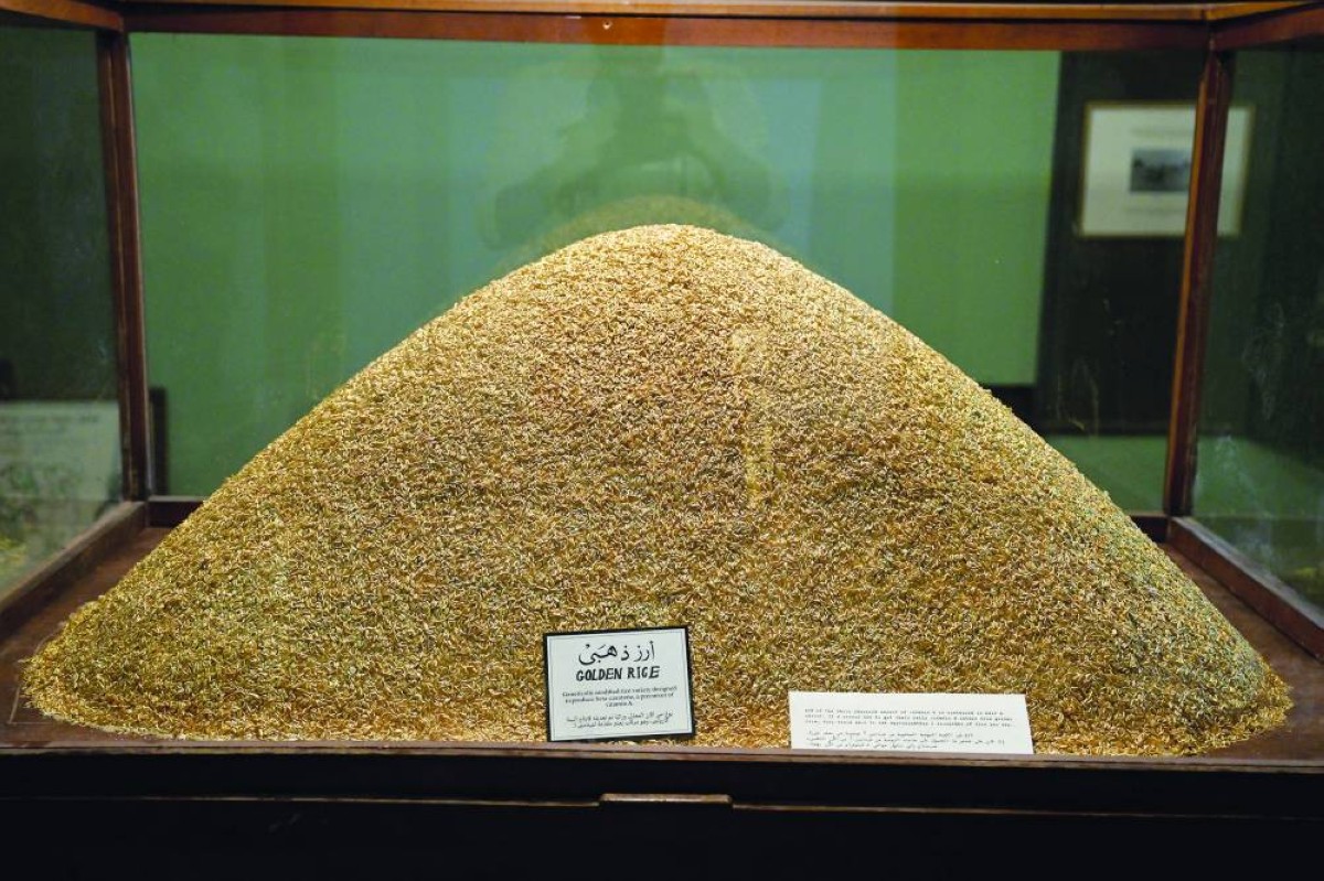  المفردات الزراعية حاضرة في المعرض 