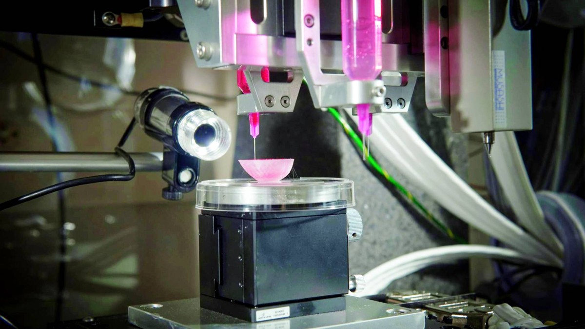 أول تجربة لزراعة أنسجة مطبوعة بتقنية ثلاثية الأبعاد