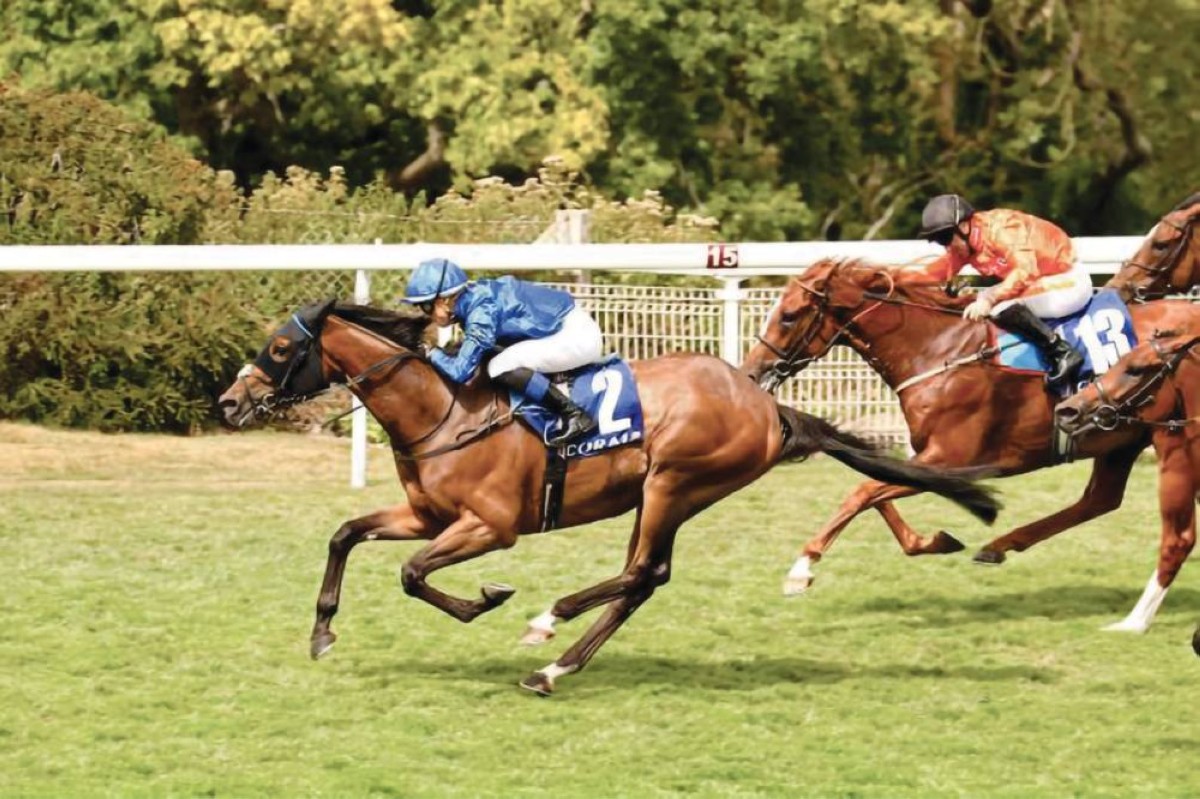 «ترولر مان» لجودلفين جاهز للتحدي اليوم