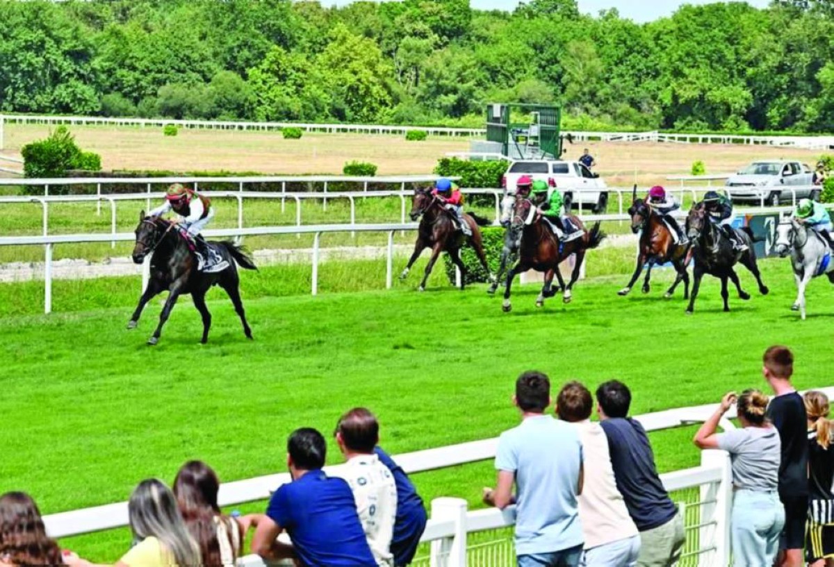 نخبة الخيول تشارك في السباق