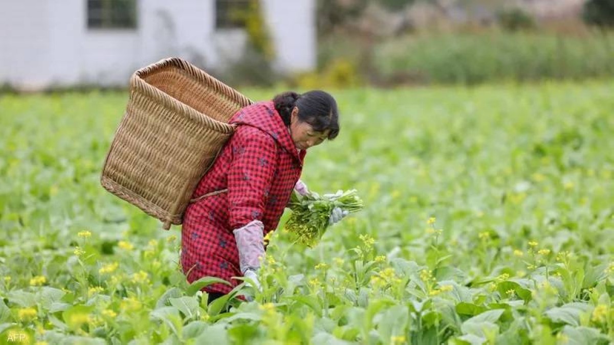 الصين: التدابير التجارية الأمريكية "جامحة"