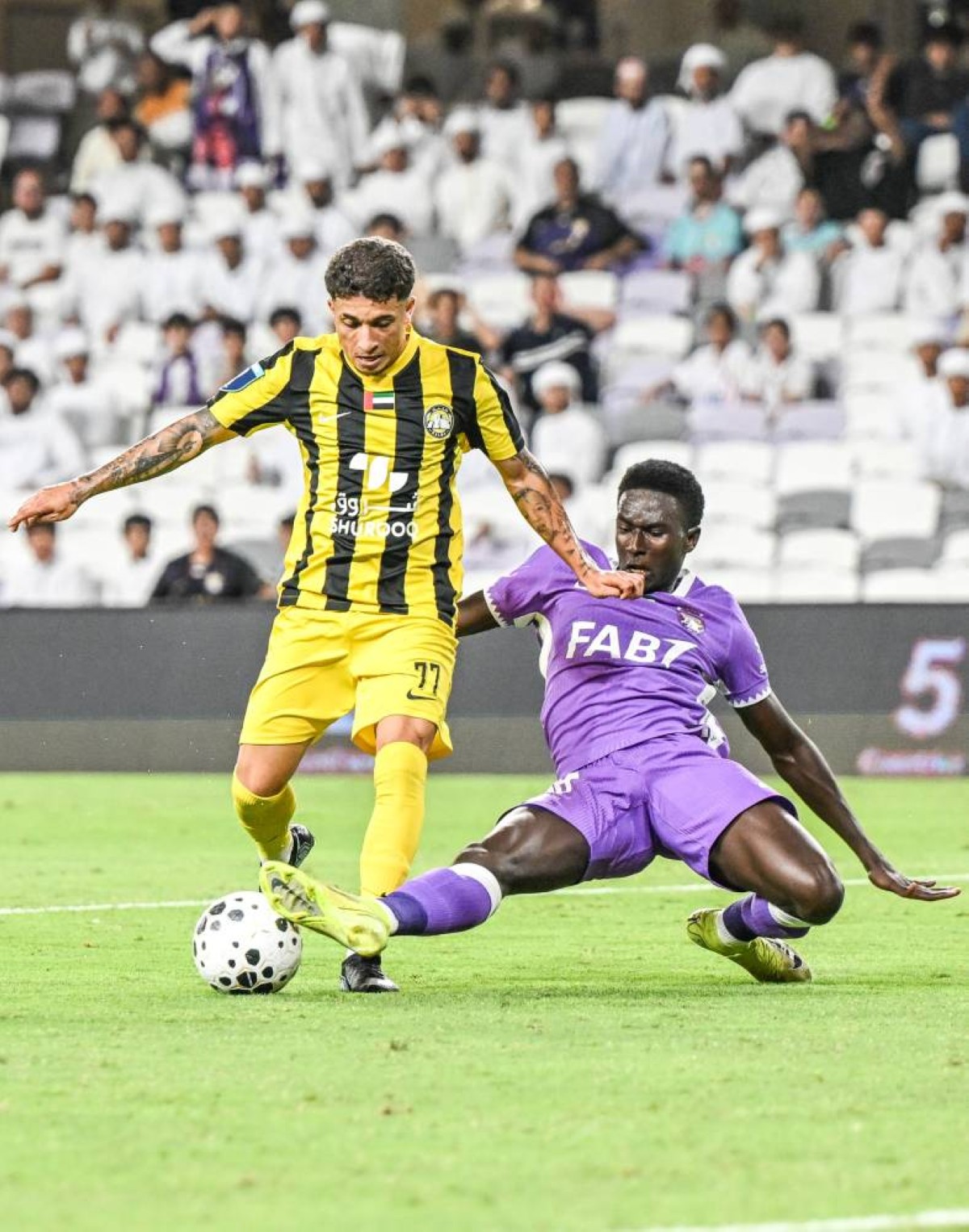 العين وكلباء